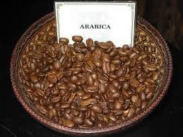 Practical hot_sale coffee arabica beans